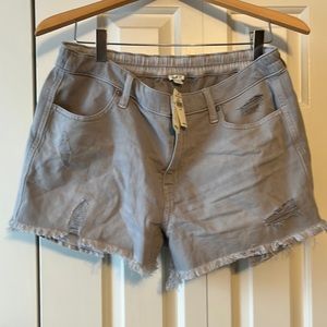 Aerie shorts